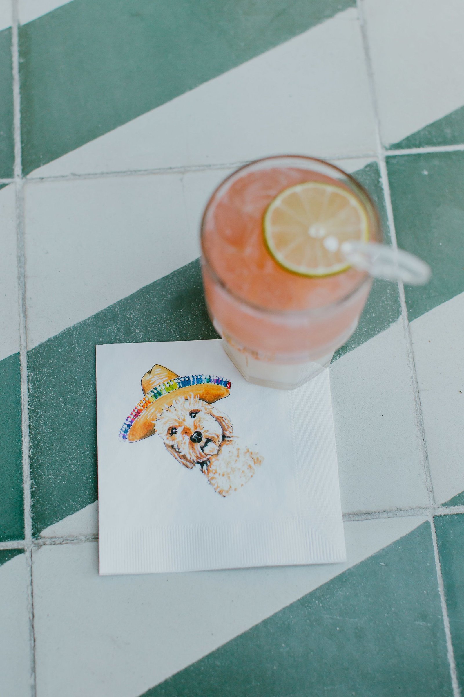Napkins with a special design of her dog that they passed around cocktail hour at The Cape in Cabo San Lucas Mexico by Cabo Wedding Servivces
