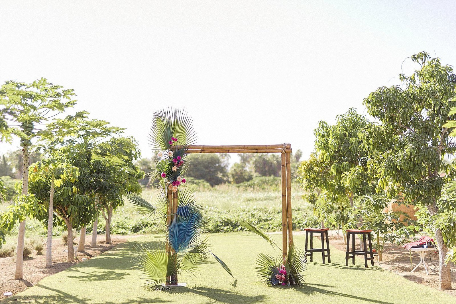 Wedding Ceremony Design by Cabo Wedding Services at Destination Wedding Venue Flora Farms in Cabo San Lucas, Mexico. Photography by Sara Richardson. Florals and Rentals by Lola from Florenta Design.