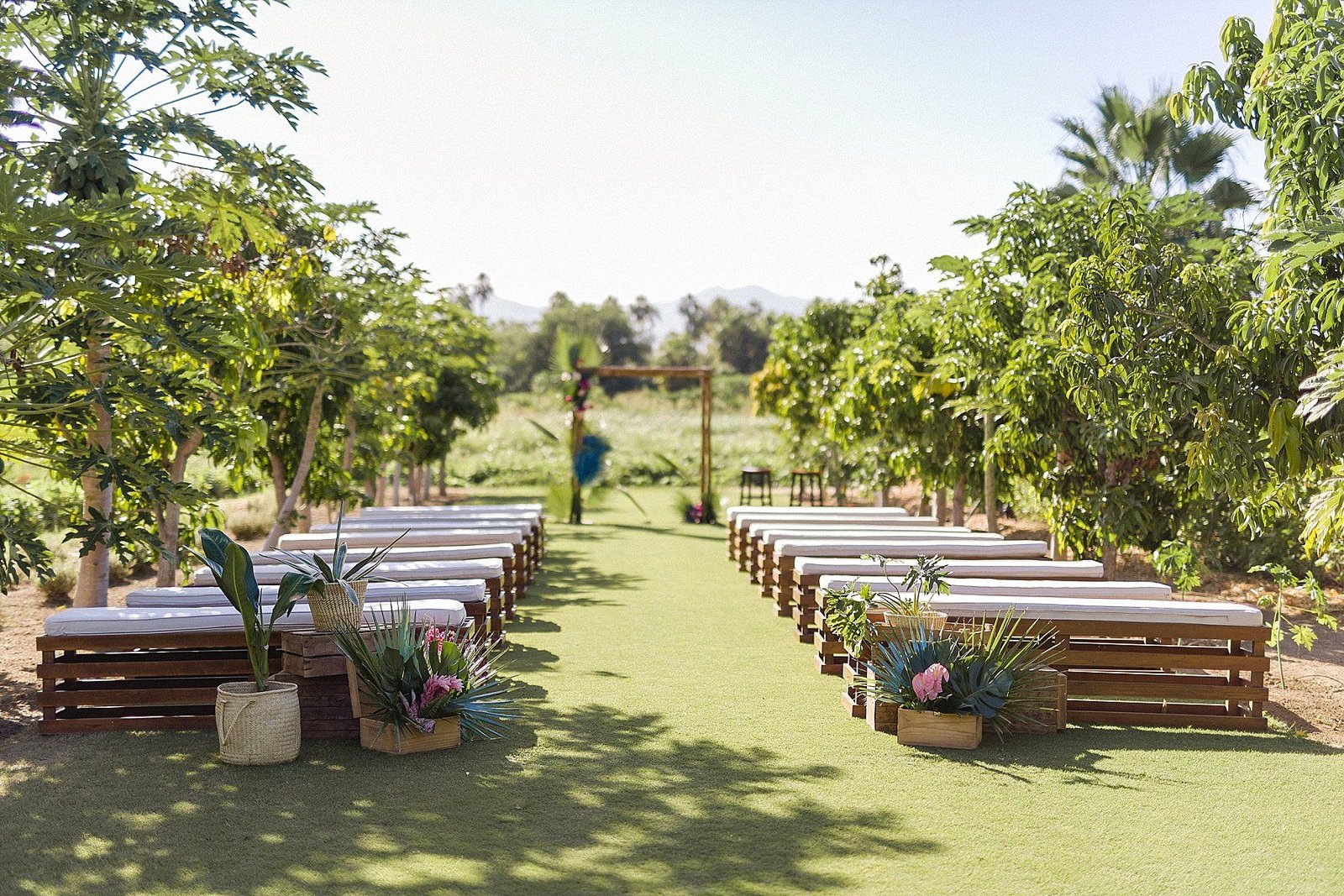 Destination Wedding at Flora Farms in Los Cabos, Mexico. Wedding Planning by Cabo Wedding Services and Photography by Sara Richardson. 