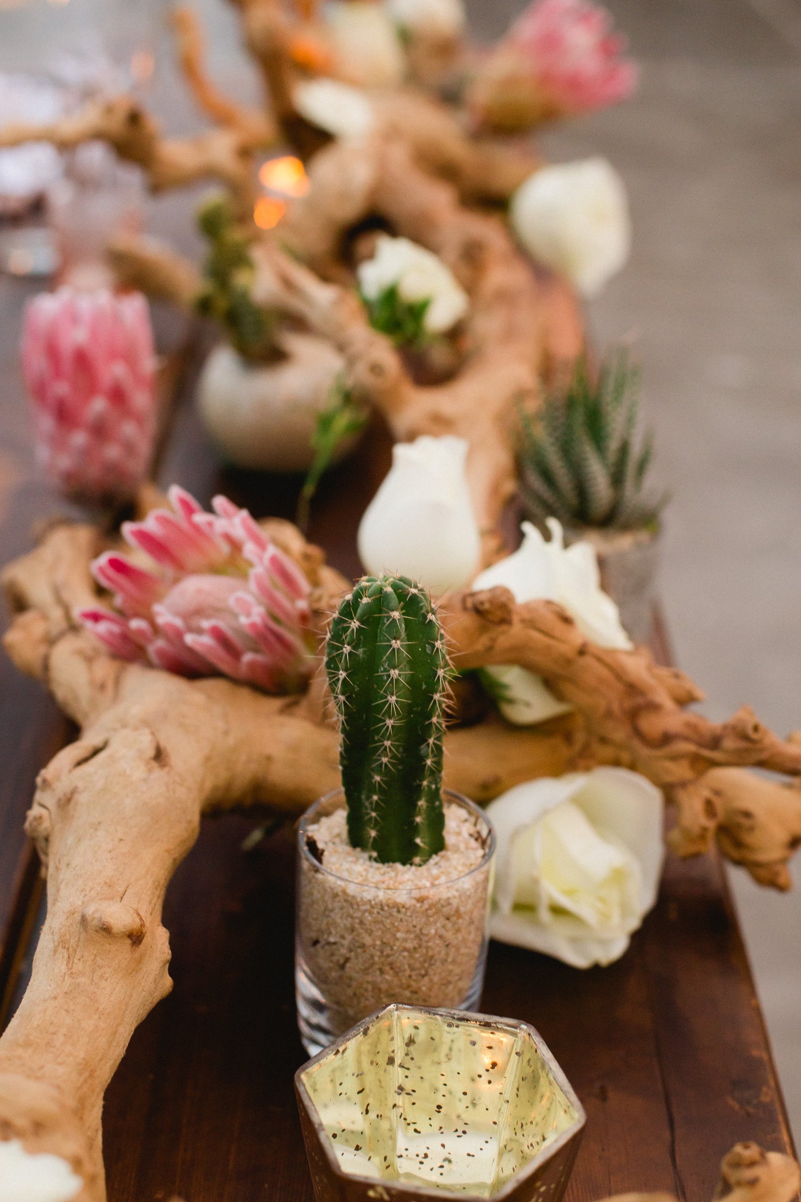 Table setting with Drift wood, cactuses and beautiful proteas. Wedding venue at The Cape and Wedding Planning by Cabo Wedding Services.