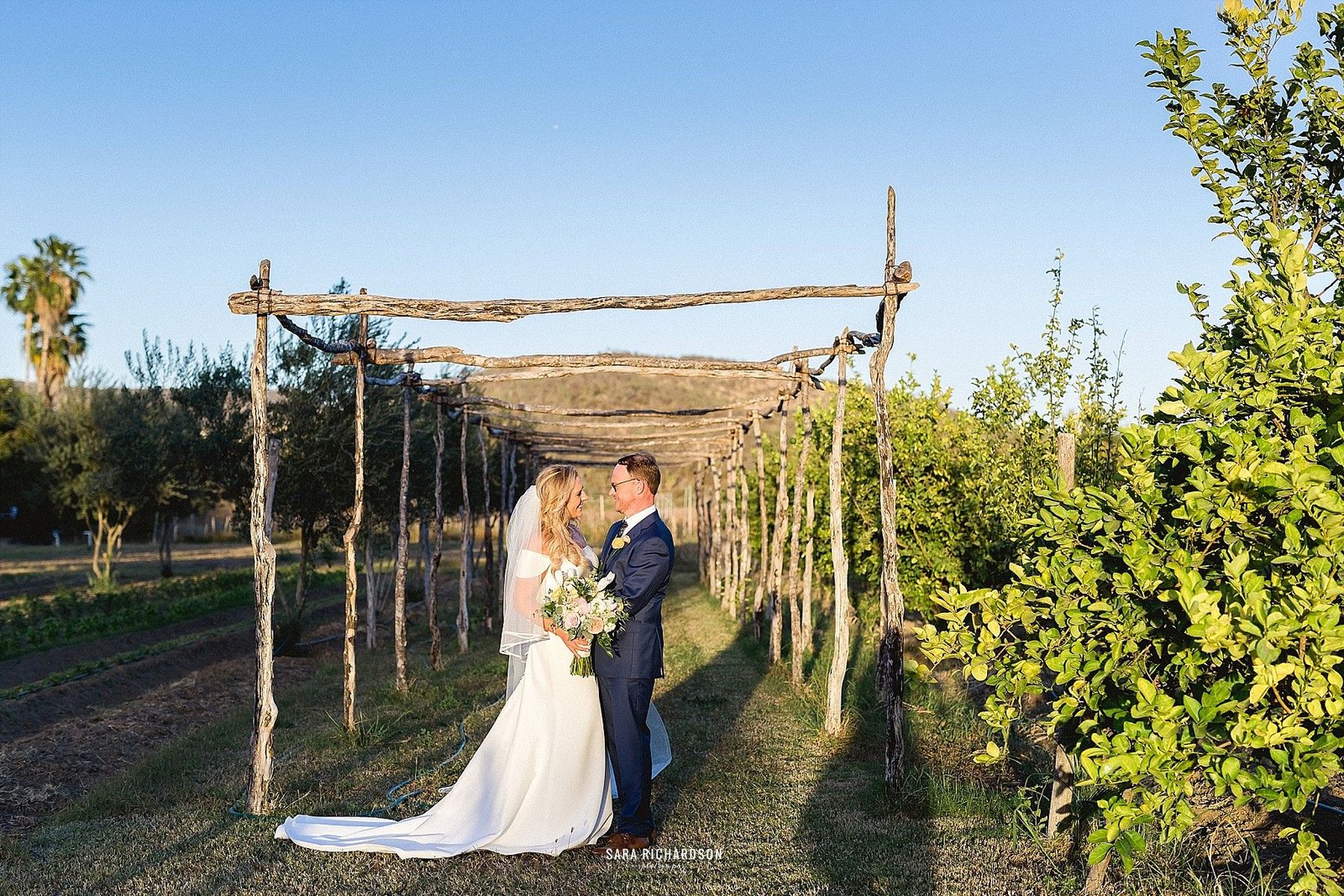 Bride and Groom having a Photo Session after the Ceremony. It was a magical hour, with perfect sunlight!