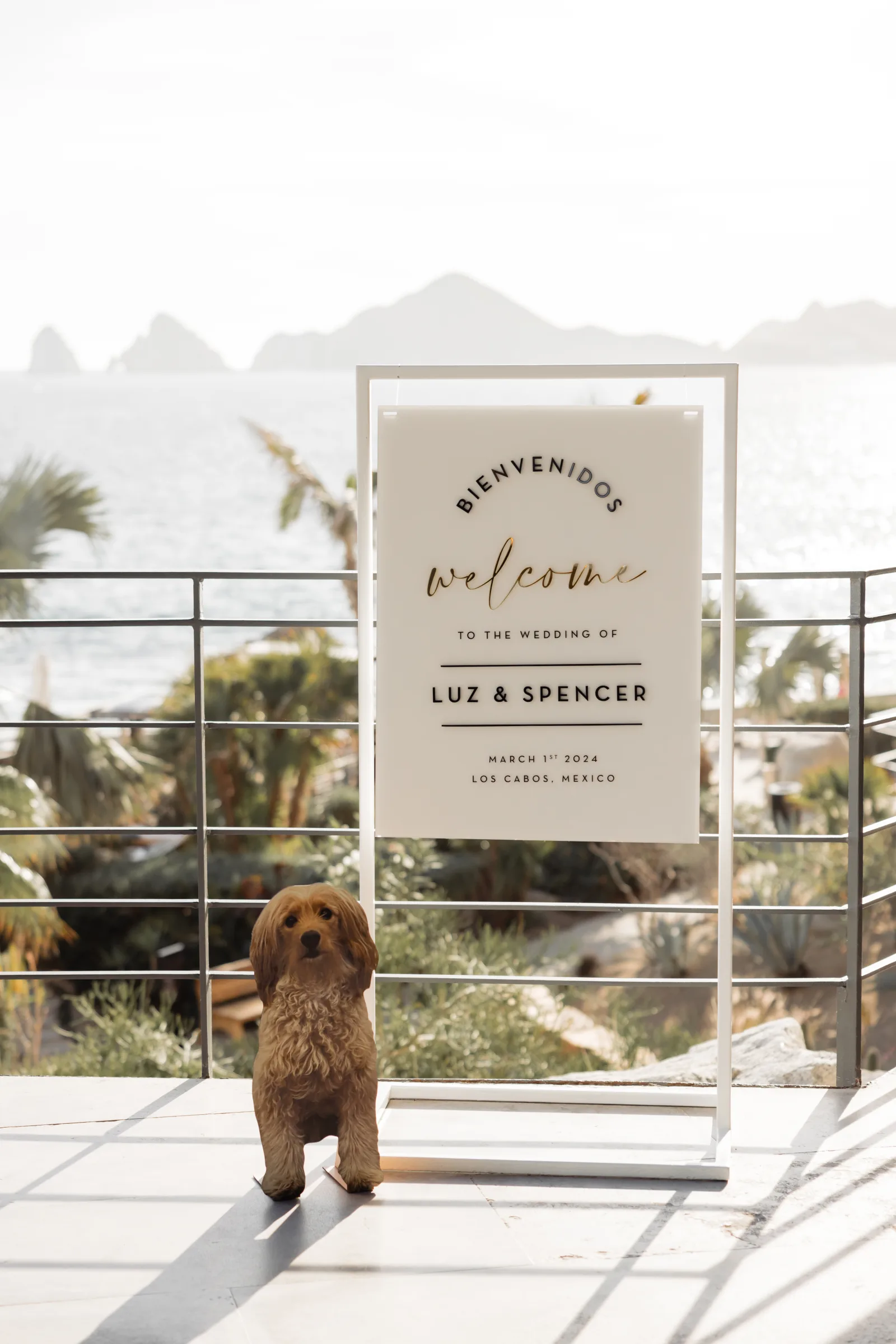 Welcome sign for wedding guests at a Cabo venue with ocean view