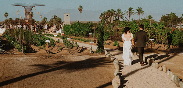 Todos Santos wedding setup near Cabo — bohemian ceremony in Pueblo Mágico